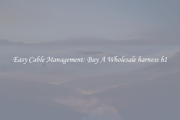 Easy Cable Management: Buy A Wholesale harness h1