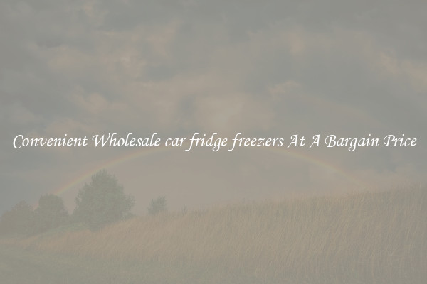 Convenient Wholesale car fridge freezers At A Bargain Price
