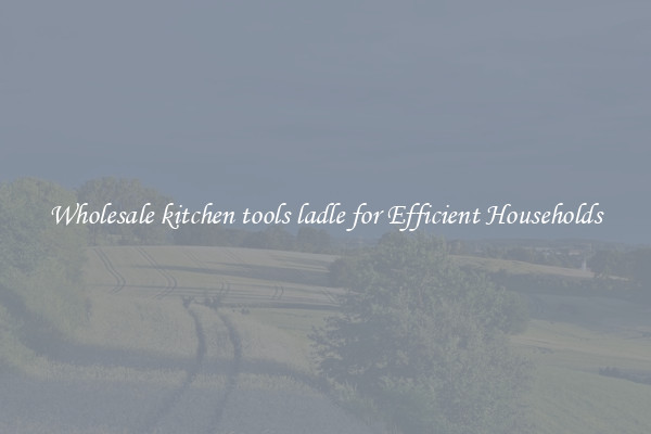Wholesale kitchen tools ladle for Efficient Households