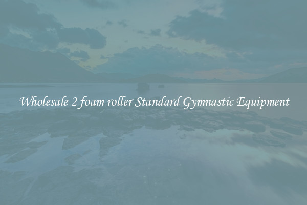 Wholesale 2 foam roller Standard Gymnastic Equipment