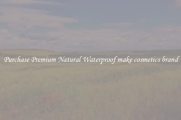 Purchase Premium Natural Waterproof make cosmetics brand
