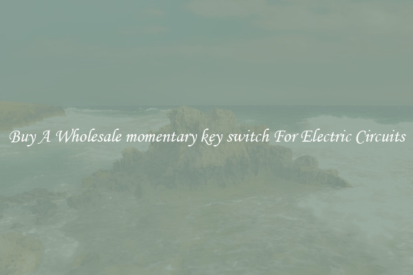 Buy A Wholesale momentary key switch For Electric Circuits
