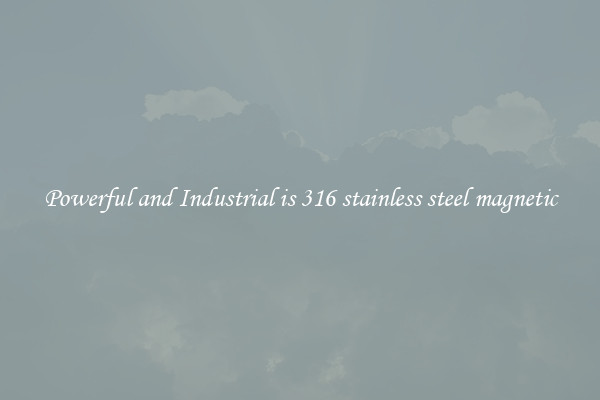 Powerful and Industrial is 316 stainless steel magnetic