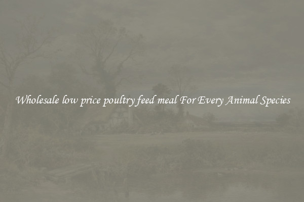 Wholesale low price poultry feed meal For Every Animal Species