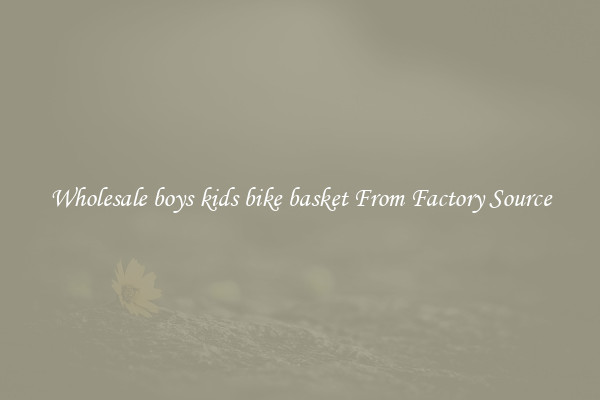 Wholesale boys kids bike basket From Factory Source