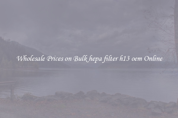 Wholesale Prices on Bulk hepa filter h13 oem Online