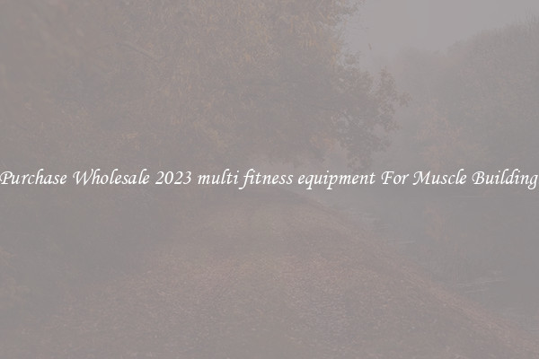 Purchase Wholesale 2023 multi fitness equipment For Muscle Building.