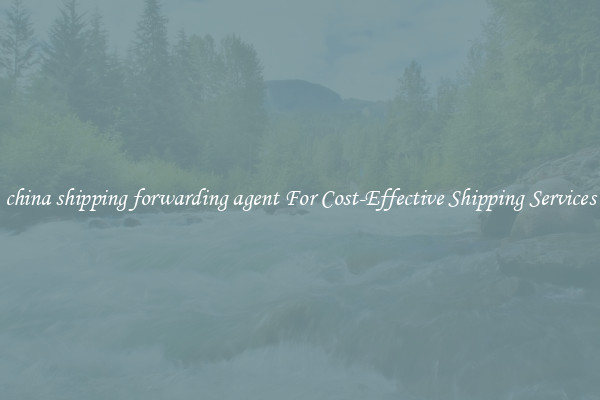 china shipping forwarding agent For Cost-Effective Shipping Services