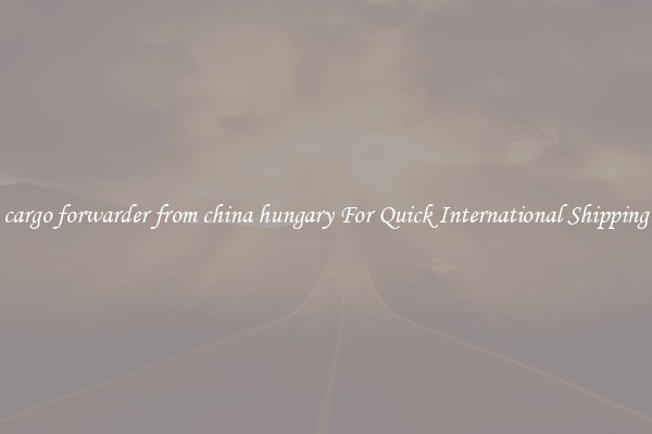 cargo forwarder from china hungary For Quick International Shipping