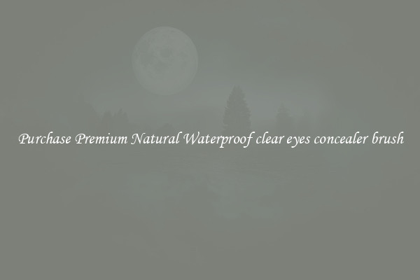 Purchase Premium Natural Waterproof clear eyes concealer brush