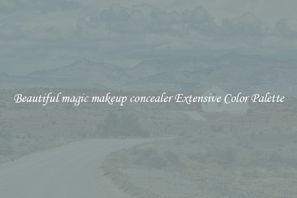 Beautiful magic makeup concealer Extensive Color Palette