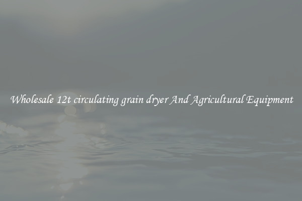Wholesale 12t circulating grain dryer And Agricultural Equipment