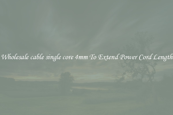 Wholesale cable single core 4mm To Extend Power Cord Length