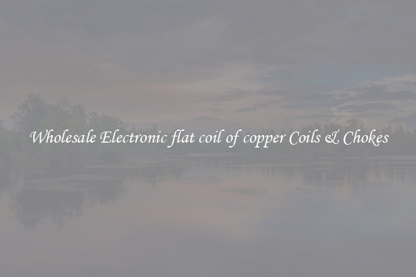 Wholesale Electronic flat coil of copper Coils & Chokes