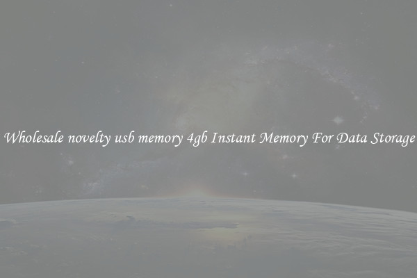 Wholesale novelty usb memory 4gb Instant Memory For Data Storage